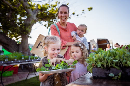 FEILDING FARMERS MARKET